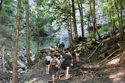 人们白天在森林里徒步旅行